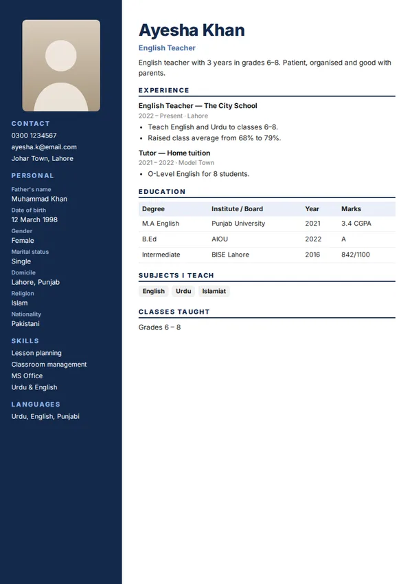 Navy Professional biodata template (free PDF)